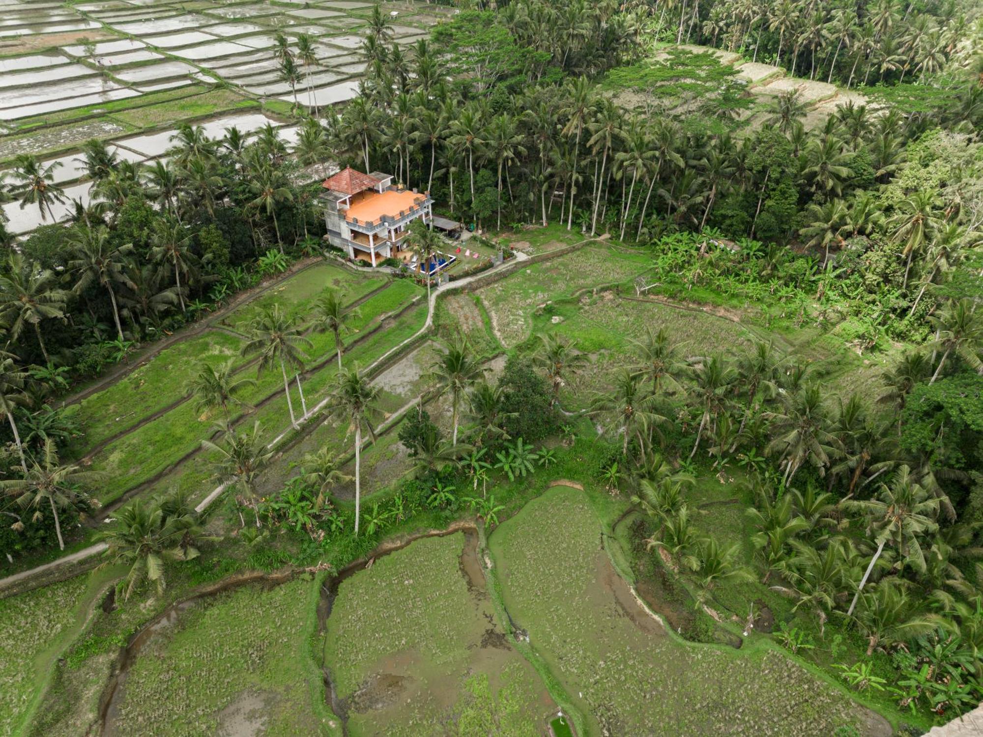 Adhidrawa Casa de hóspedes *